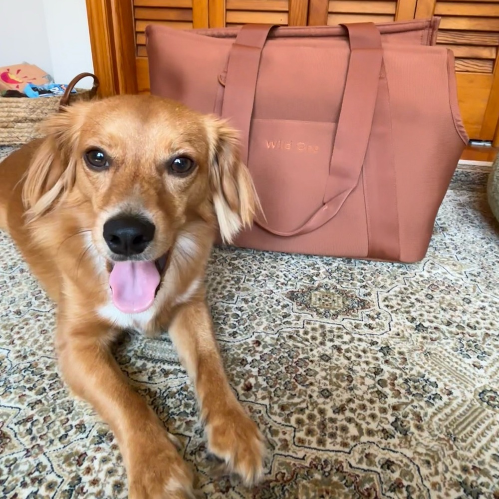 Wild One Recycled Knit Everyday Dog
Carrier Tote